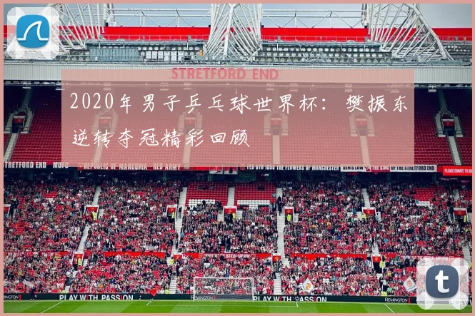 2020年男子乒乓球世界杯:樊振东逆转夺冠精彩回顾